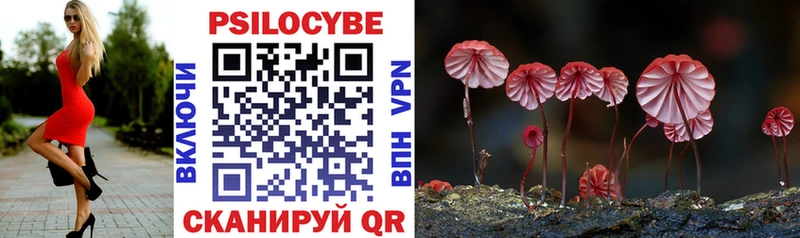 где можно купить   Краснотурьинск  Псилоцибиновые грибы прущие грибы 