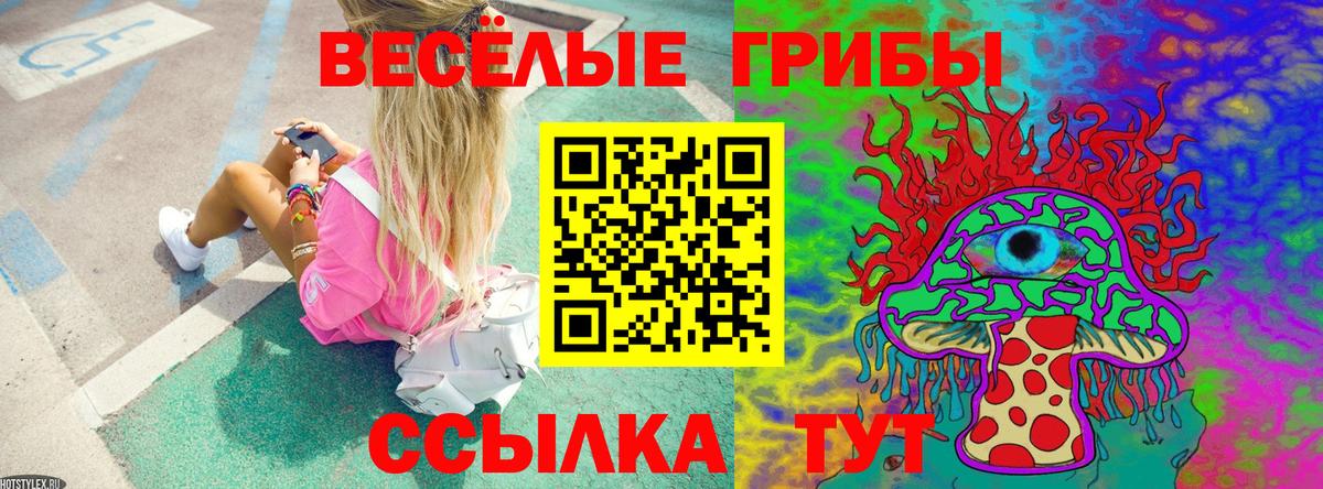 купить наркотик  Галлюциногенные грибы Psilocybe  Вход с VPN  Краснотурьинск 
